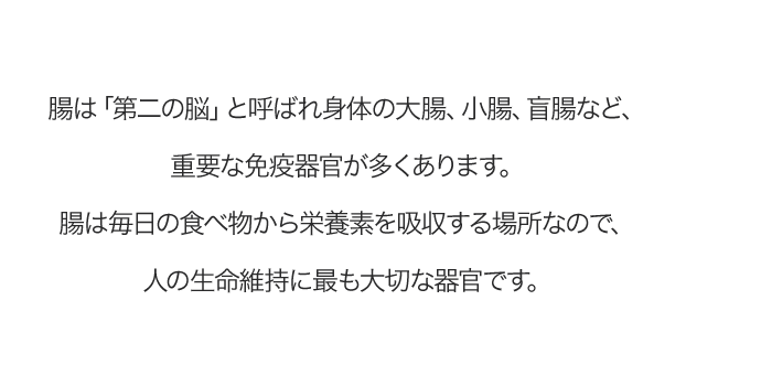 腸は人の生命維持に最も大切な器官です。