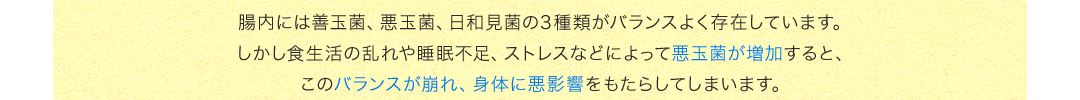 食生活の乱れや睡眠不足、ストレスなどによって悪玉菌が増加すると、バランスが崩れ、身体に悪影響をもたらしてしまいます。