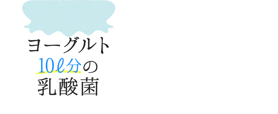 ヨーグルトの10ℓ分の乳酸菌