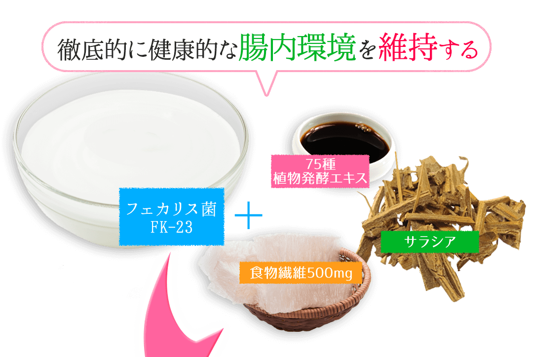 徹底的に腸内環境を整える