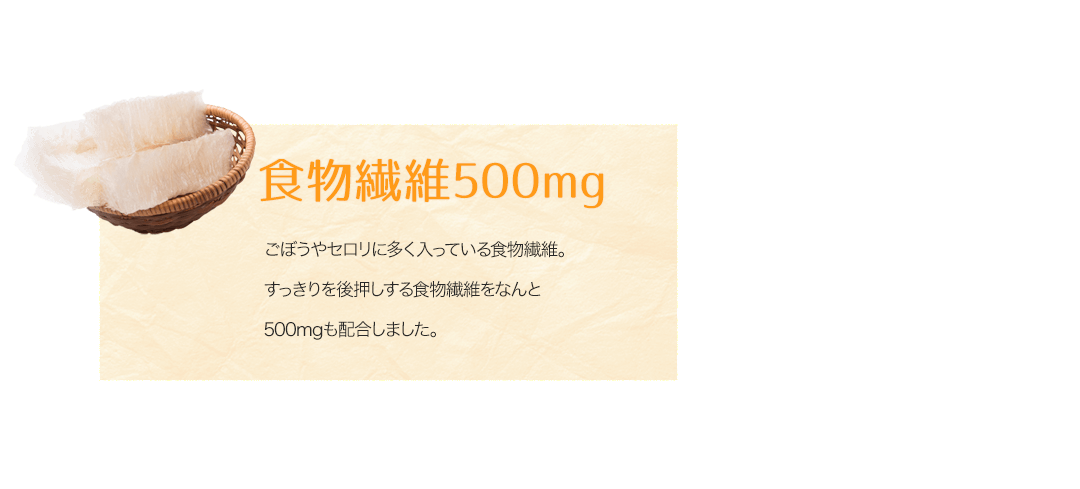 食物繊維500mg